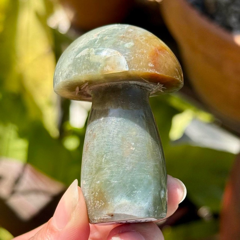 Hand carved ocean jasper mushroom crystal carving